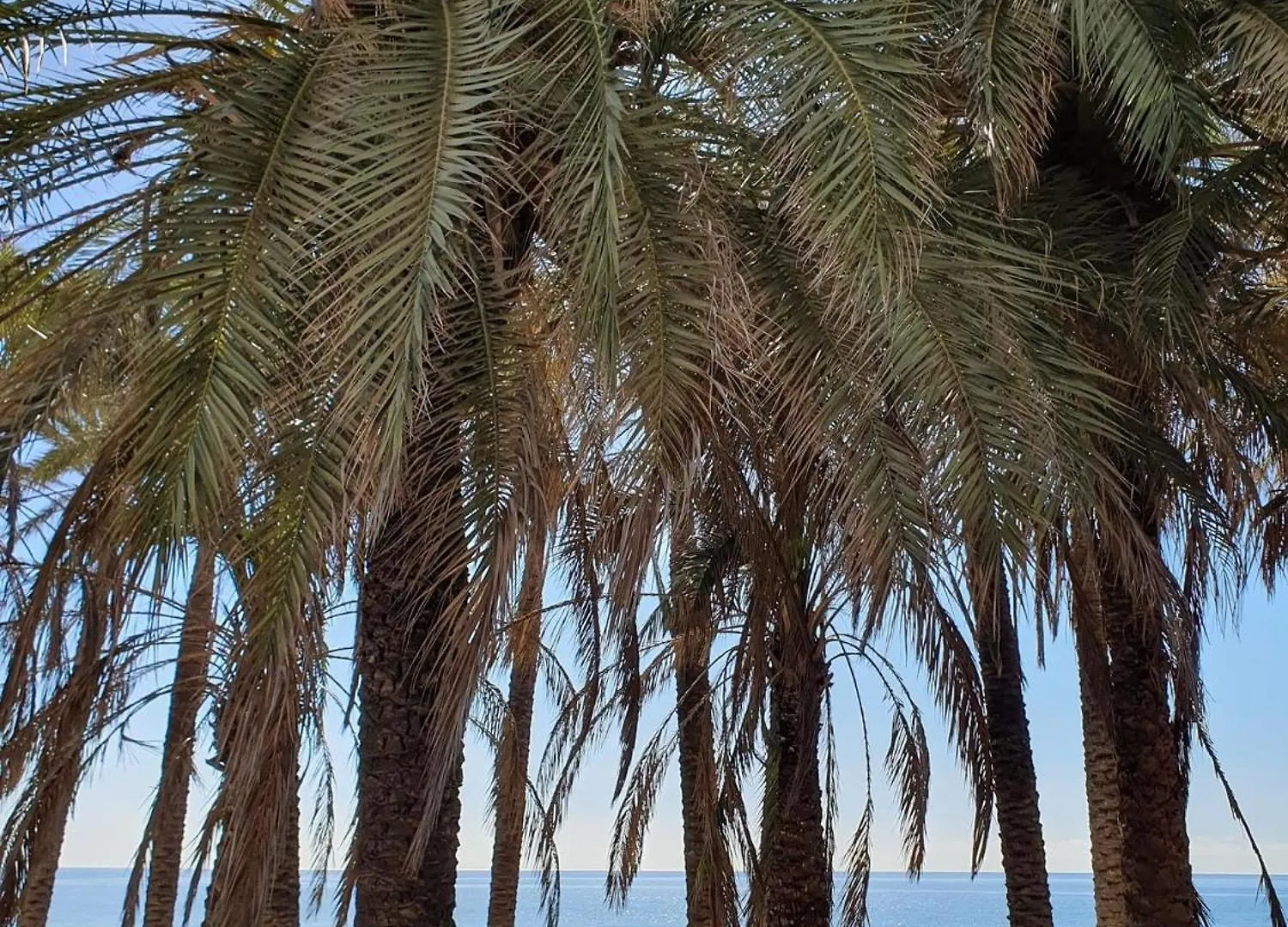 Apartamento Bonito Estudio Carihuela Con Terraza, Wifi, Playa A 150 Metros Torremolinos España