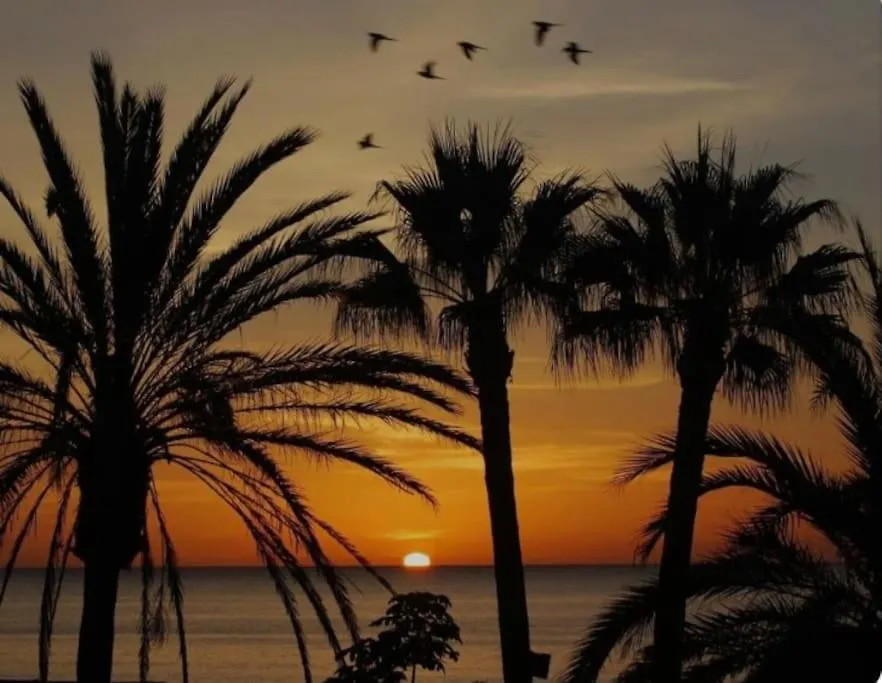 Bonito Estudio Carihuela Con Terraza, Wifi, Playa A 150 Metros Torremolinos 0*,